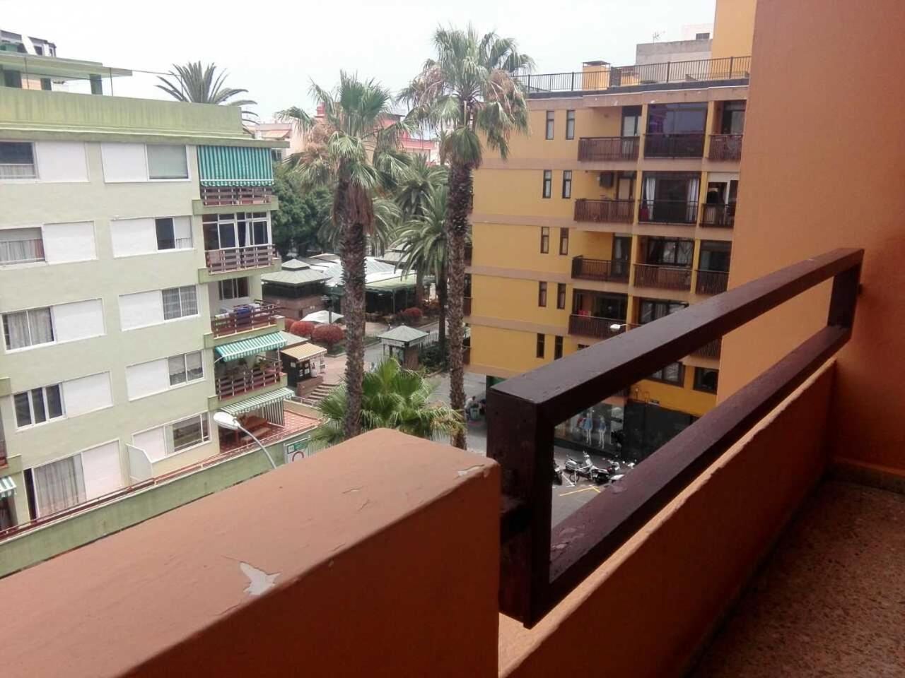 Apartamentos Girasol II Puerto de la Cruz  Room photo